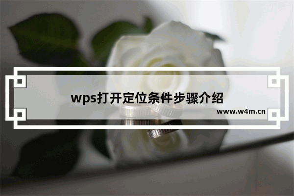 wps打开定位条件步骤介绍