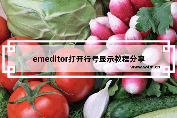 emeditor打开行号显示教程分享