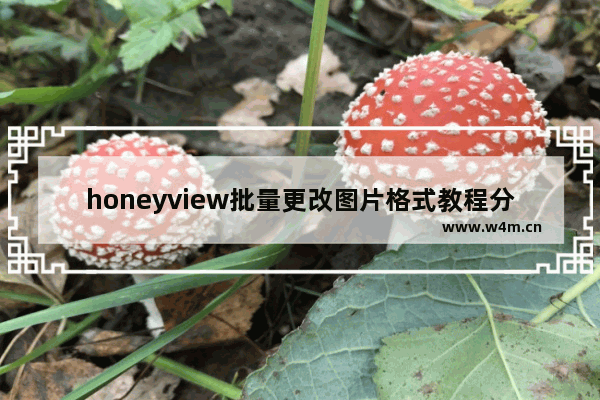 honeyview批量更改图片格式教程分享