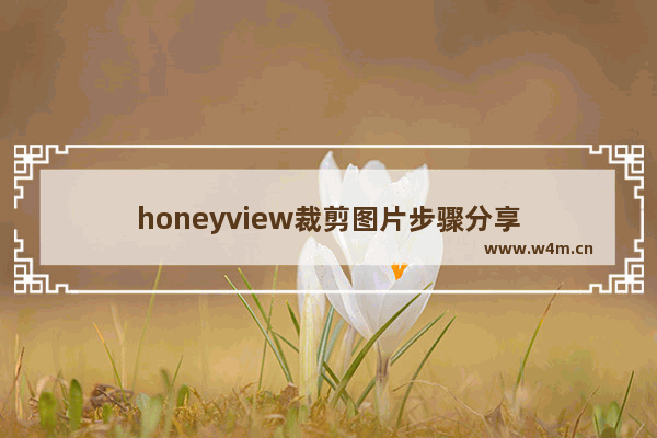 honeyview裁剪图片步骤分享