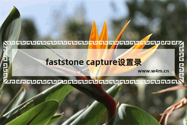 faststone capture设置录屏大小步骤介绍