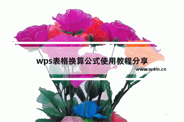 wps表格换算公式使用教程分享