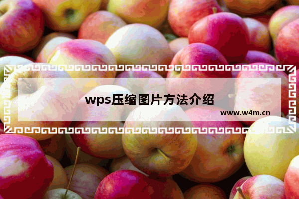 wps压缩图片方法介绍