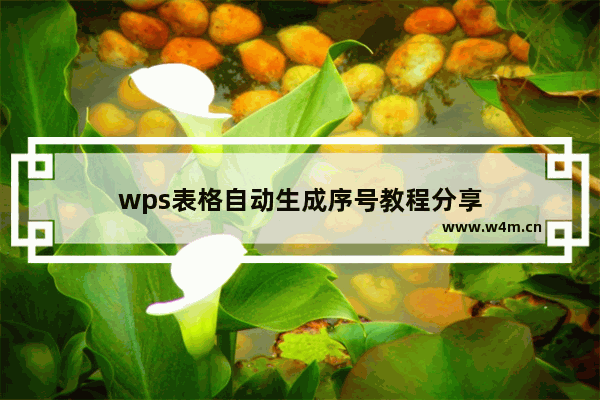 wps表格自动生成序号教程分享