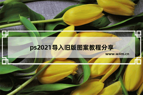 ps2021导入旧版图案教程分享