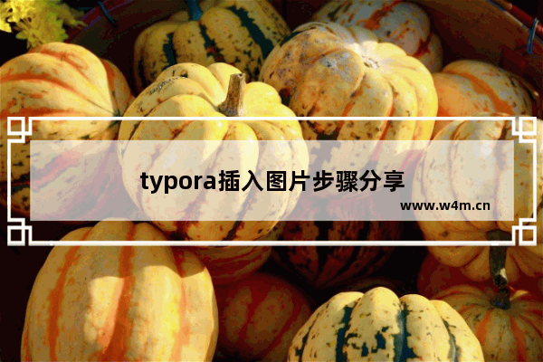 typora插入图片步骤分享