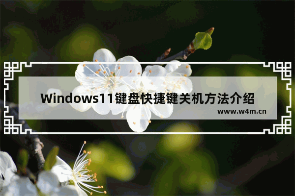 Windows11键盘快捷键关机方法介绍