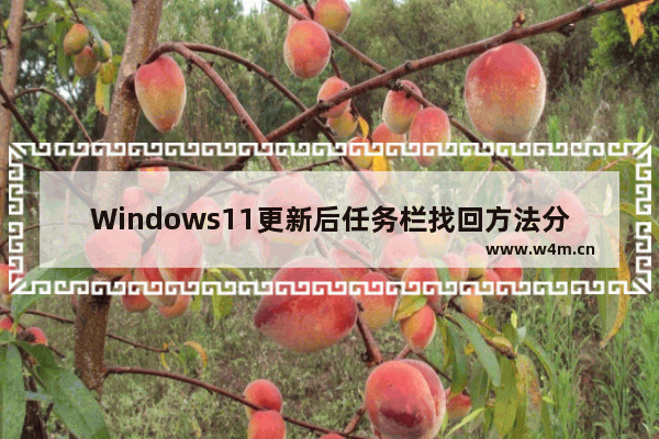 Windows11更新后任务栏找回方法分享