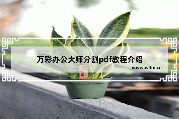 万彩办公大师分割pdf教程介绍