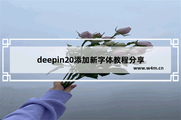 deepin20添加新字体教程分享