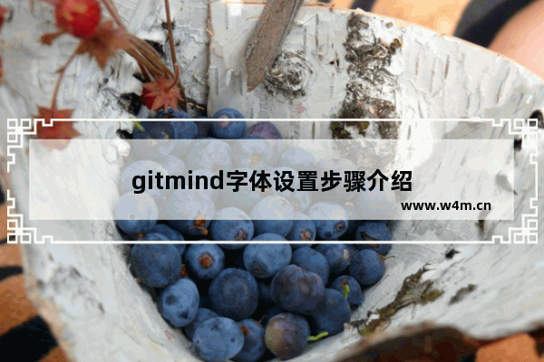 gitmind字体设置步骤介绍