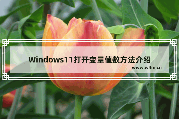 Windows11打开变量值数方法介绍