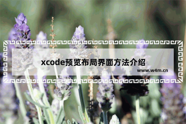 xcode预览布局界面方法介绍