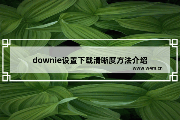 downie设置下载清晰度方法介绍