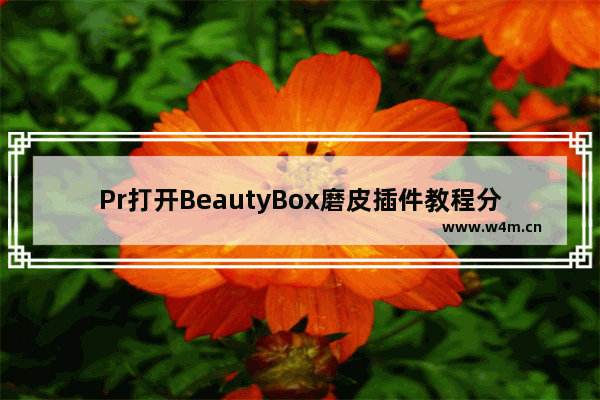 Pr打开BeautyBox磨皮插件教程分享