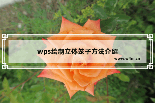 wps绘制立体笼子方法介绍