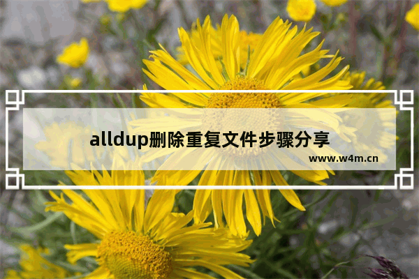 alldup删除重复文件步骤分享