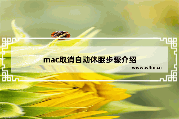 mac取消自动休眠步骤介绍