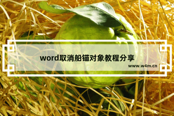 word取消船锚对象教程分享