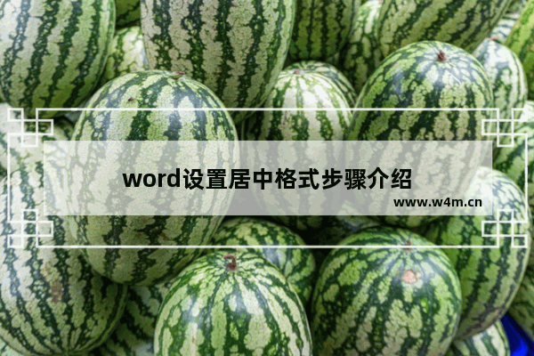 word设置居中格式步骤介绍