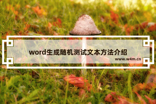 word生成随机测试文本方法介绍