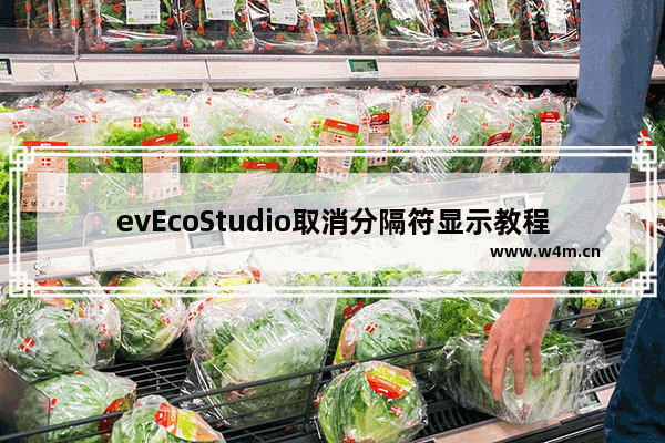 evEcoStudio取消分隔符显示教程分享