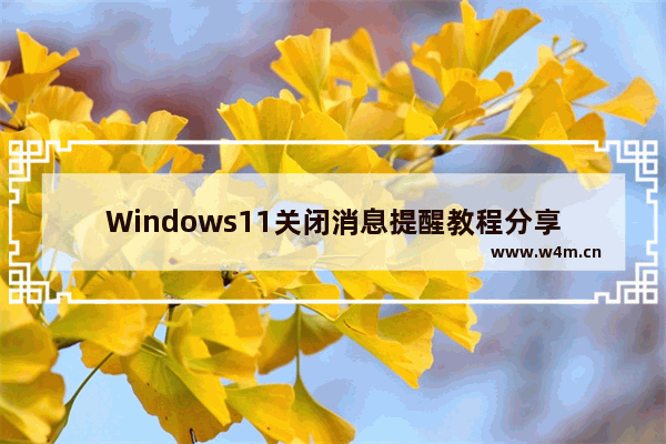 Windows11关闭消息提醒教程分享