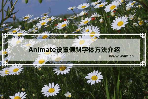 Animate设置倾斜字体方法介绍