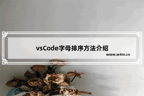 vsCode字母排序方法介绍