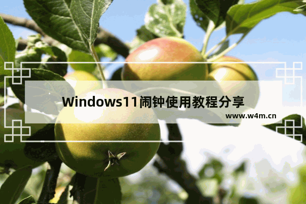 Windows11闹钟使用教程分享