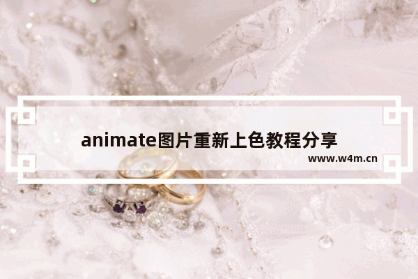 animate图片重新上色教程分享