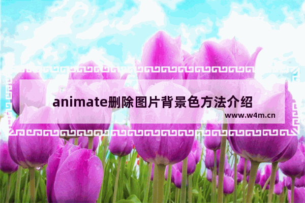 animate删除图片背景色方法介绍