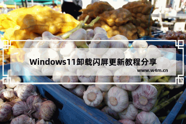 Windows11卸载闪屏更新教程分享