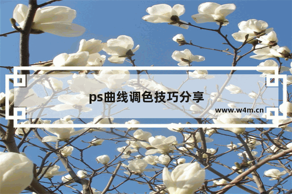 ps曲线调色技巧分享