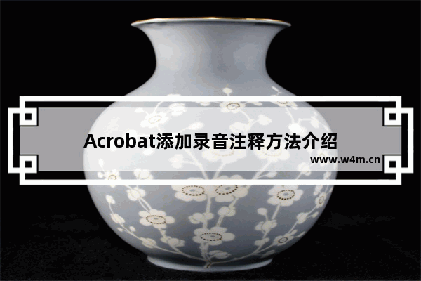 Acrobat添加录音注释方法介绍