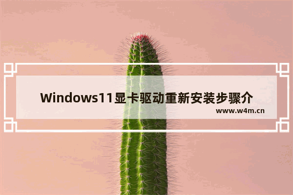 Windows11显卡驱动重新安装步骤介绍