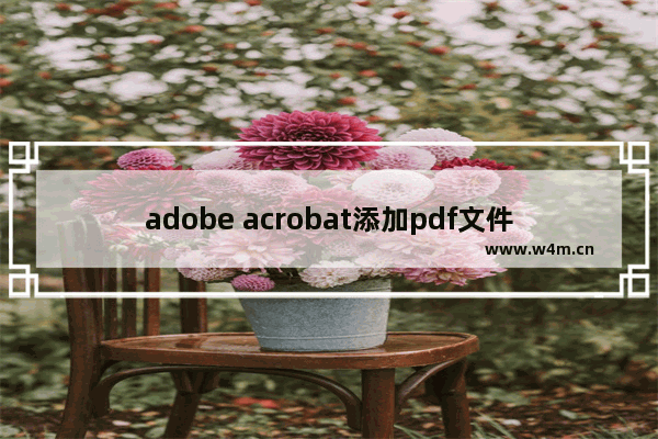 adobe acrobat添加pdf文件目录方法介绍