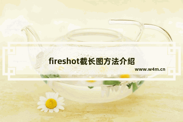 fireshot截长图方法介绍