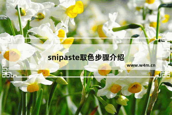 snipaste取色步骤介绍