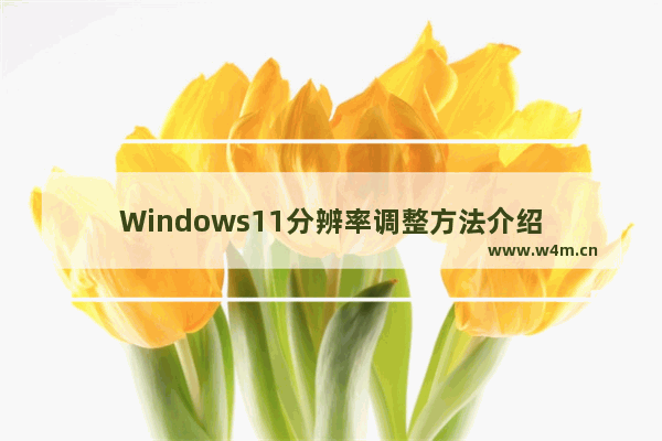 Windows11分辨率调整方法介绍