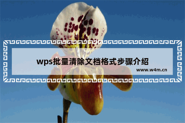 wps批量清除文档格式步骤介绍