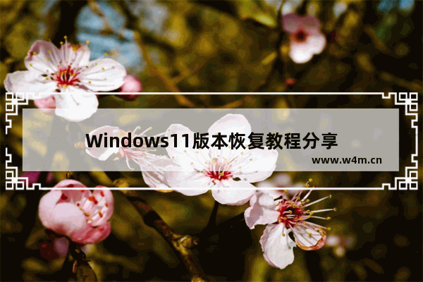 Windows11版本恢复教程分享