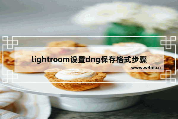 lightroom设置dng保存格式步骤介绍