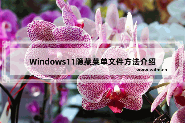 Windows11隐藏菜单文件方法介绍