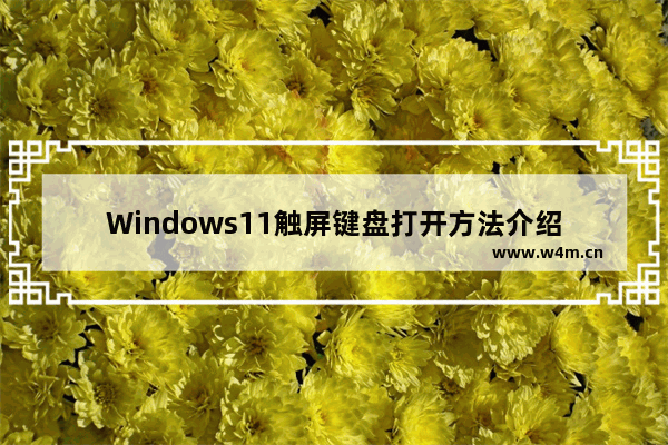 Windows11触屏键盘打开方法介绍