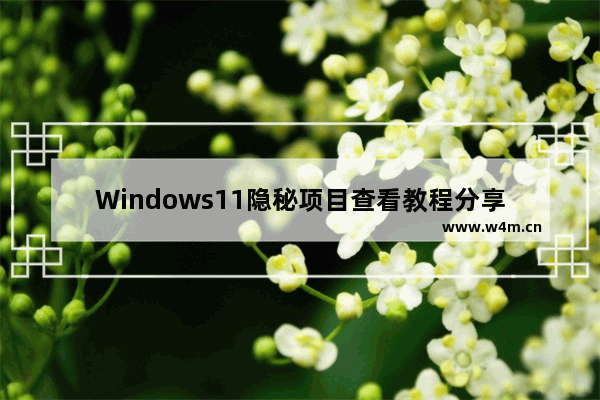 Windows11隐秘项目查看教程分享