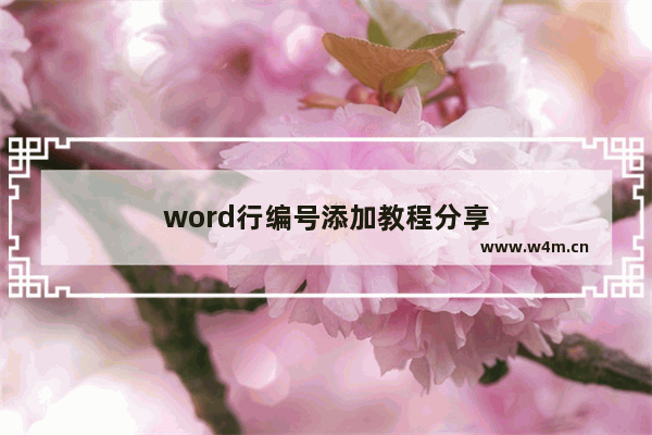 word行编号添加教程分享