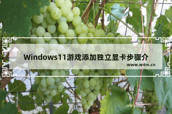 Windows11游戏添加独立显卡步骤介绍