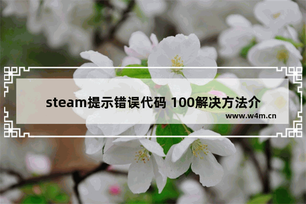 steam提示错误代码 100解决方法介绍