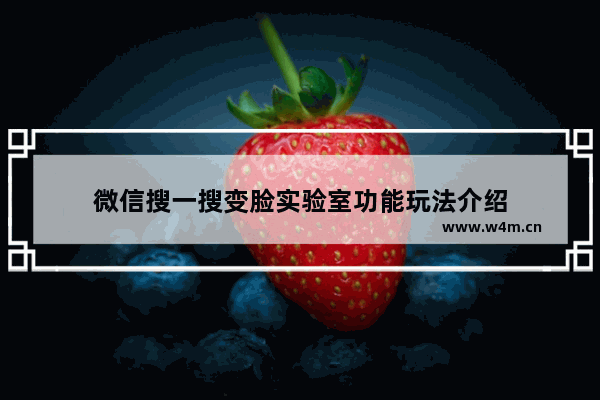 微信搜一搜变脸实验室功能玩法介绍